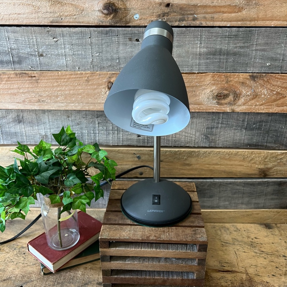 LEPOWER Adjustable Dark Gray Desk Lamp